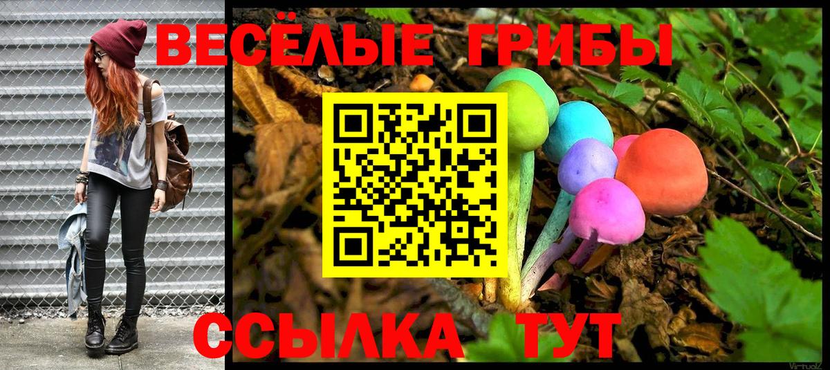Липецк  Псилоцибиновые грибы мухоморы  как найти закладки  Псилоцибиновые грибы GOLDEN TEACHER  Вход с VPN 